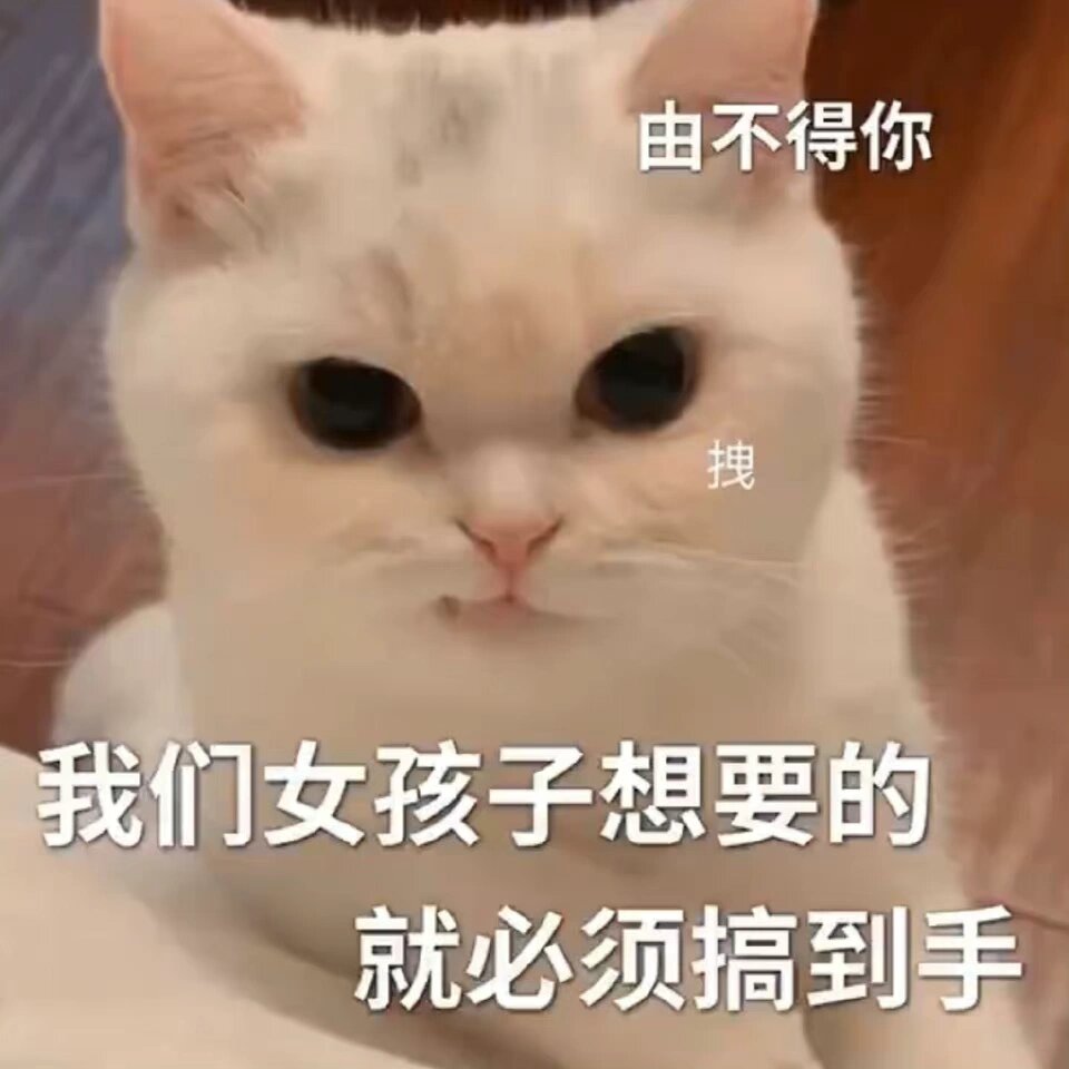 女孩子想要的就必须要搞到手
