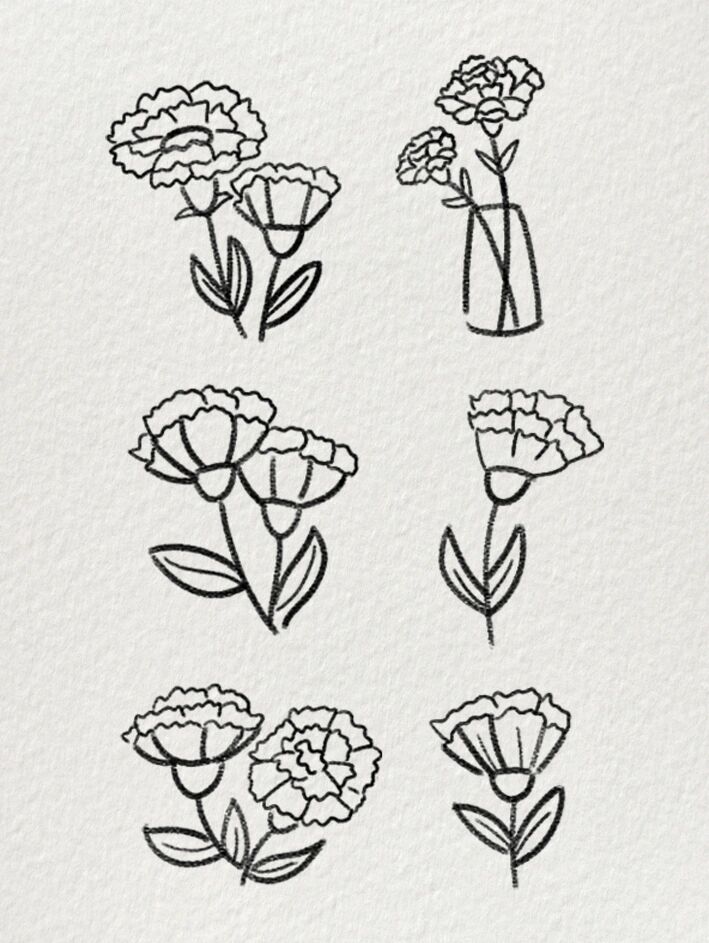 超简单的康乃馨简笔画|一起来画吧