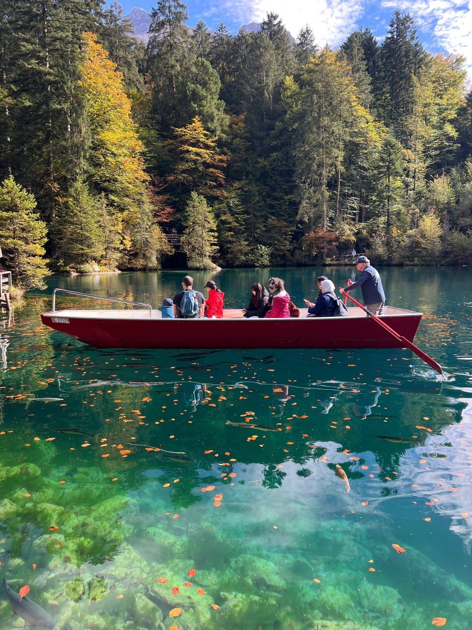 瑞士🇨🇭蓝湖blausee|每个人心中的蓝宝石 瑞士🇨🇭blausee 