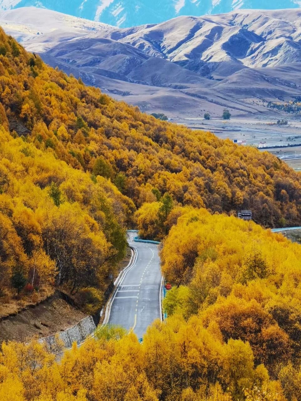 川西赏秋来这就对了93最美公路新都桥 川西的新都桥被称为"摄影师的