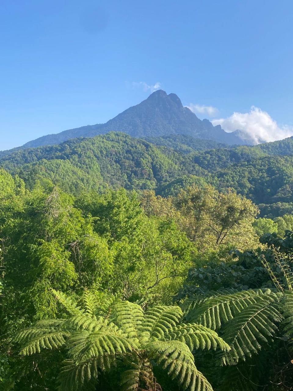 五指山热带雨林风景区 海南省五指山市五指山热带雨林风景区:这里有着