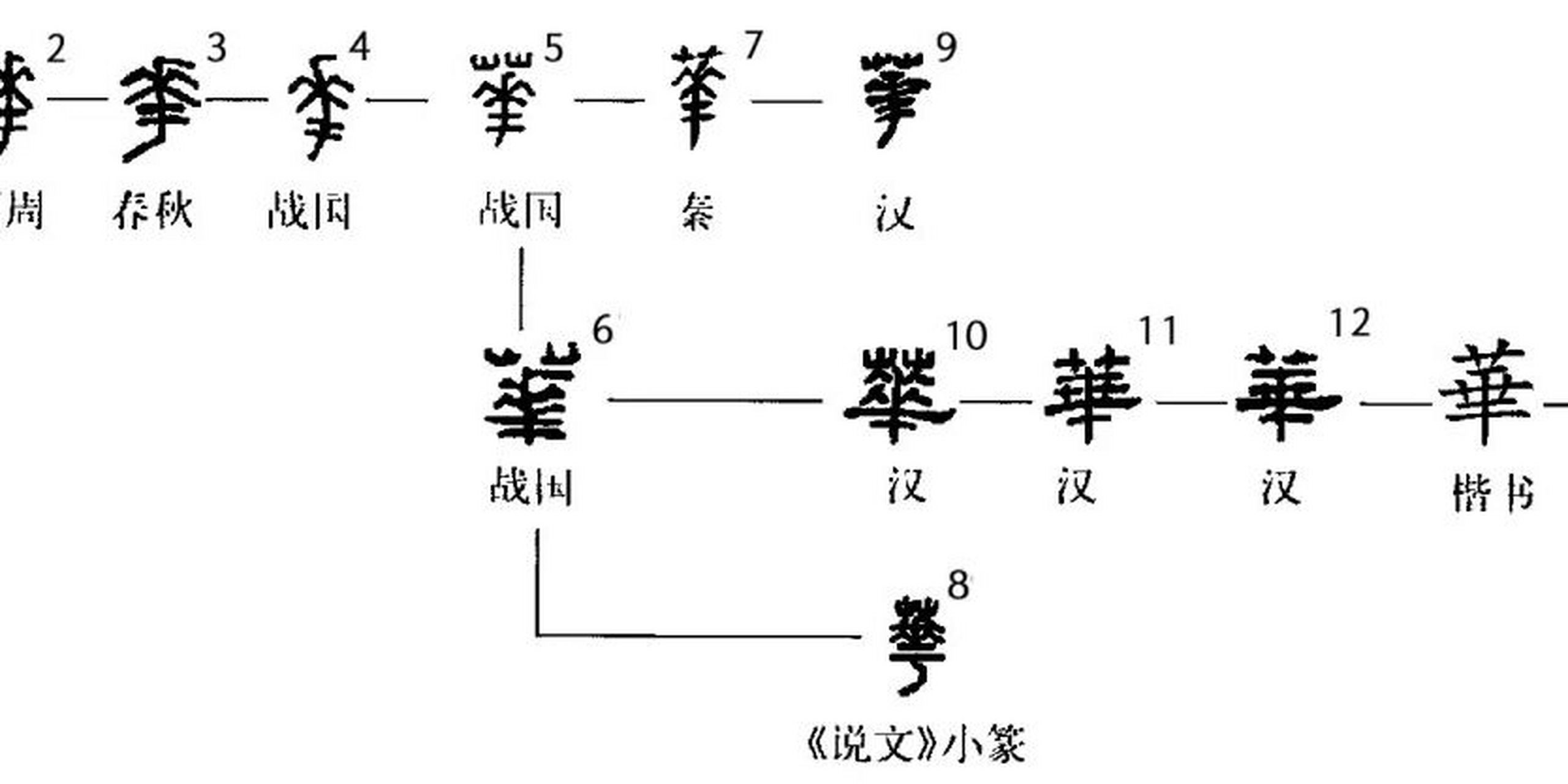 华字的演变过程图片图片