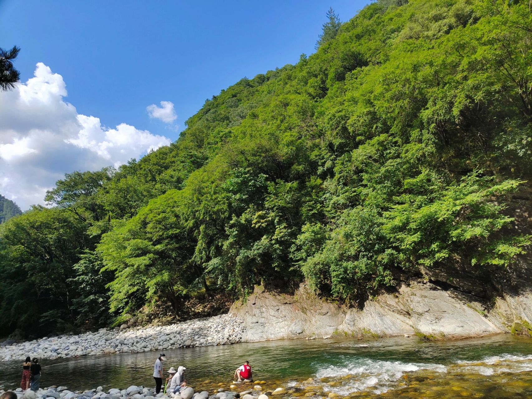 黑河国家森林公园半日游     景区介绍:黑河国家森林公园位于陕西省