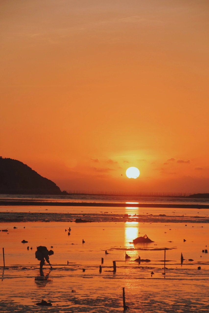 99北岐滩涂(导航定位这里) 大交通:广州东-霞浦-北岐滩涂 (从霞浦