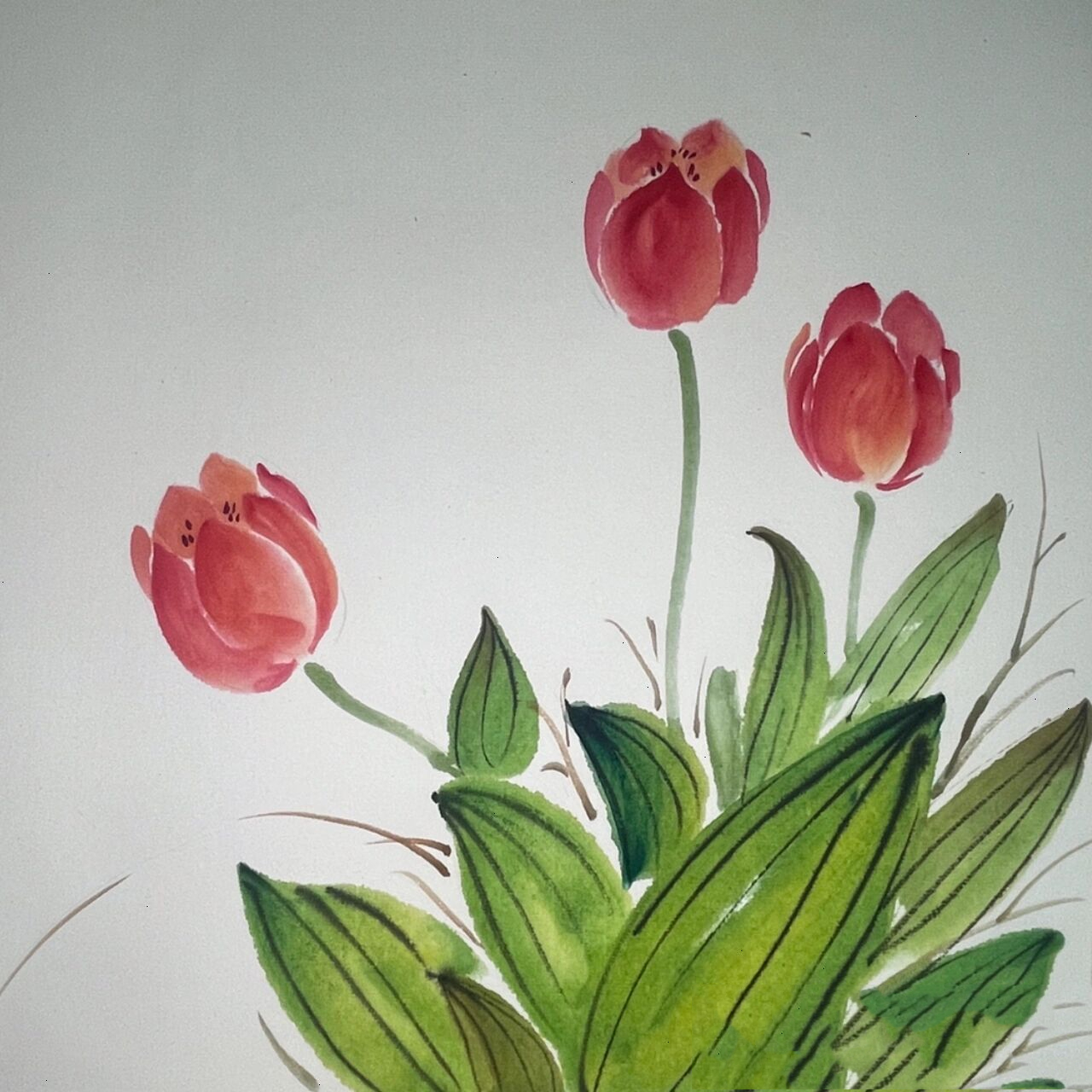 少儿水墨国画|二十四节气 谷雨 郁金香 图文 浪漫的不止玫瑰,还有春天