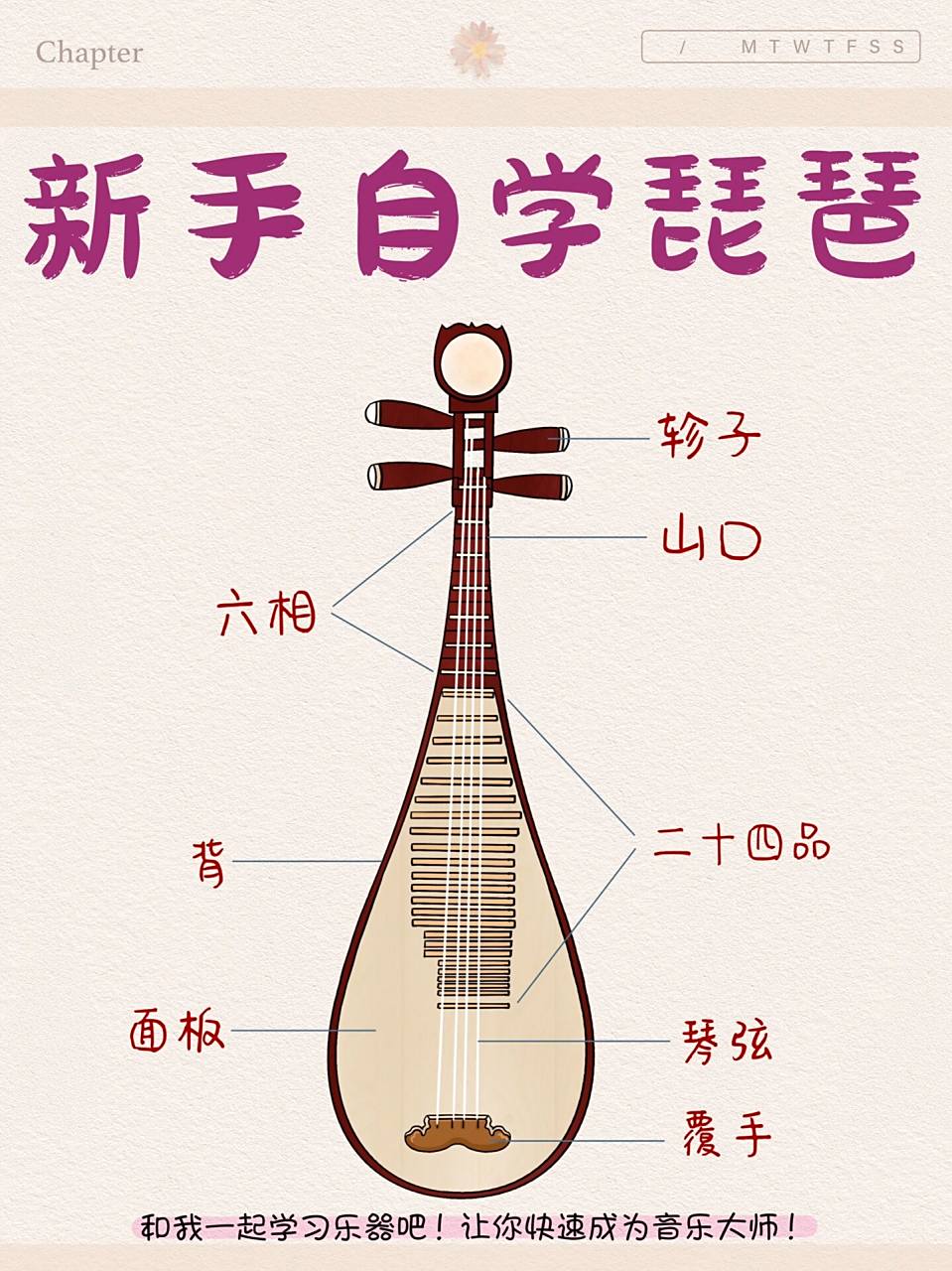 一次带你搞懂 新手自学琵琶不懂得音阶?刚入门不懂得琵琶的基本理论?