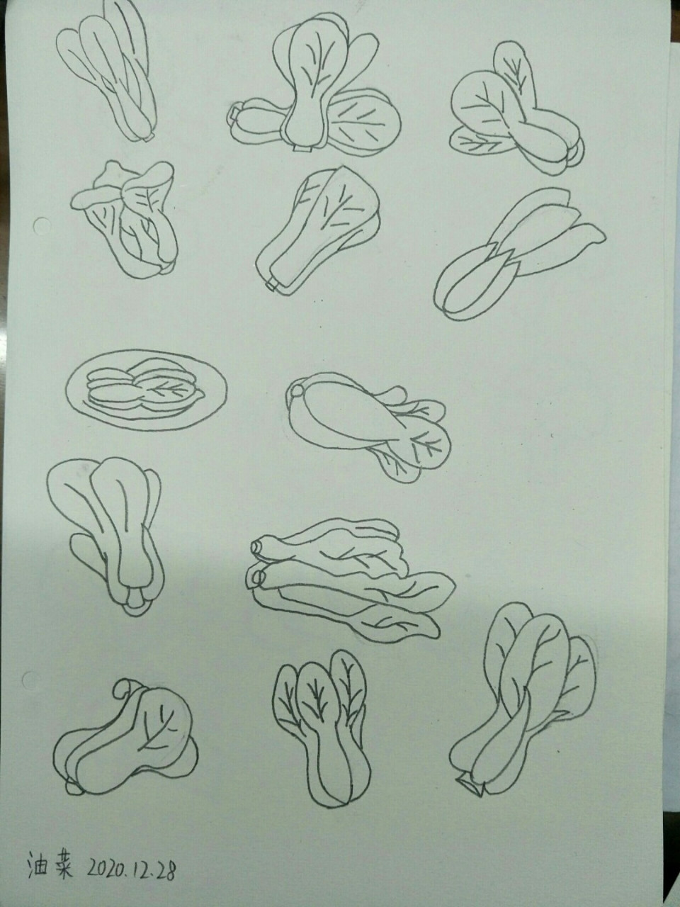 简笔画油菜,坚持打卡 #绘画