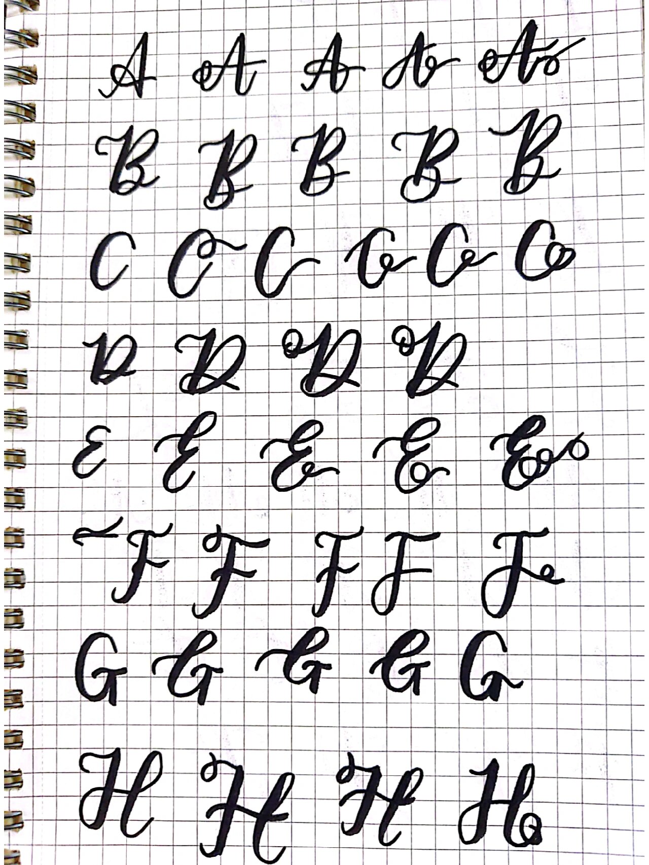 手写花体英文 40/40