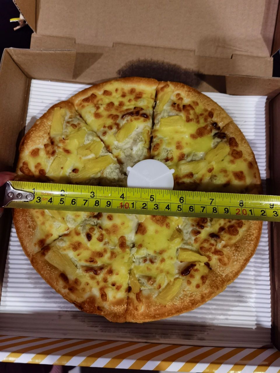 6英寸 一个人看宝宝顾不上吃饭,中午定了2个披萨,1个8英寸一个10英寸