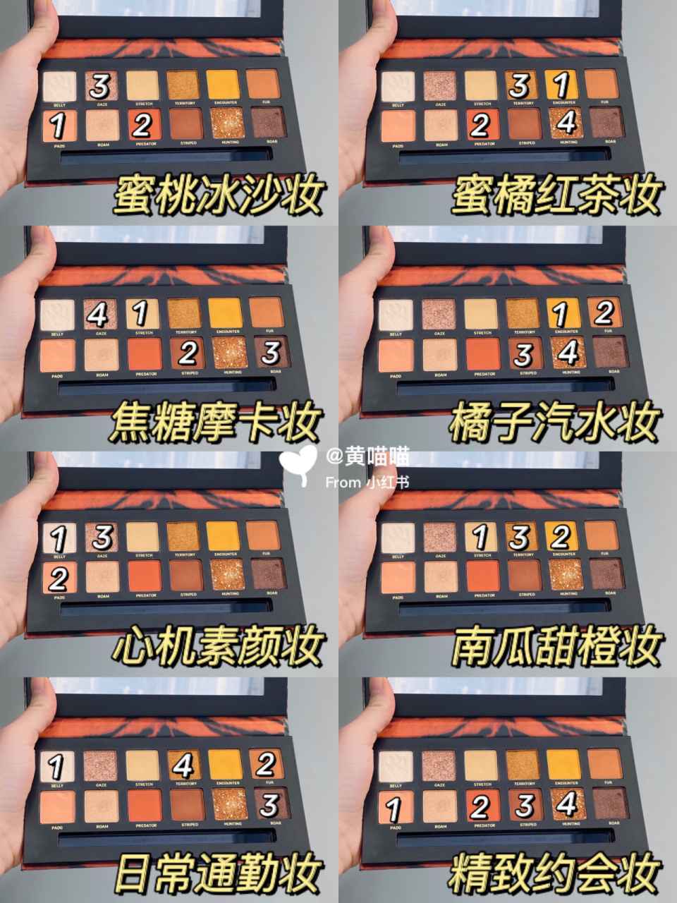 新手干货96完美日记斑虎盘8种绝美眼影画法 集美们～完美日记斑虎盘