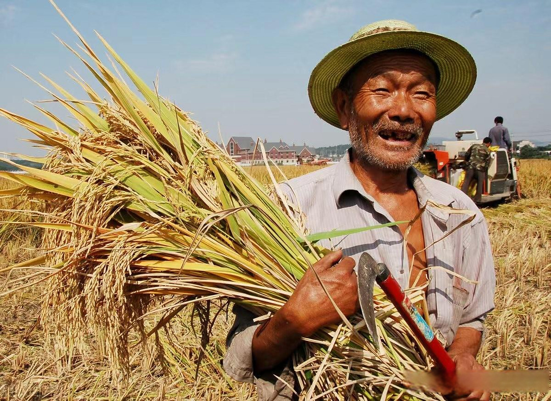 "农民用自留农作物的种子播种,被法院判决处罚10万元",农民用自留农