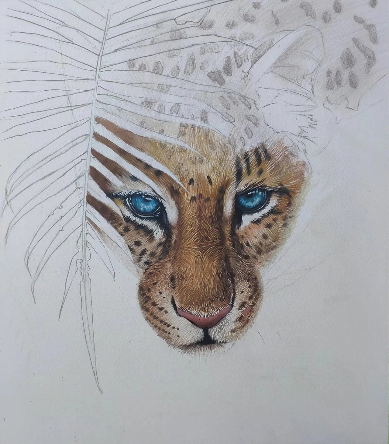 豹子》 动物网课课程案例五 获多福300g细纹水彩纸,水彩颜料,彩色铅笔