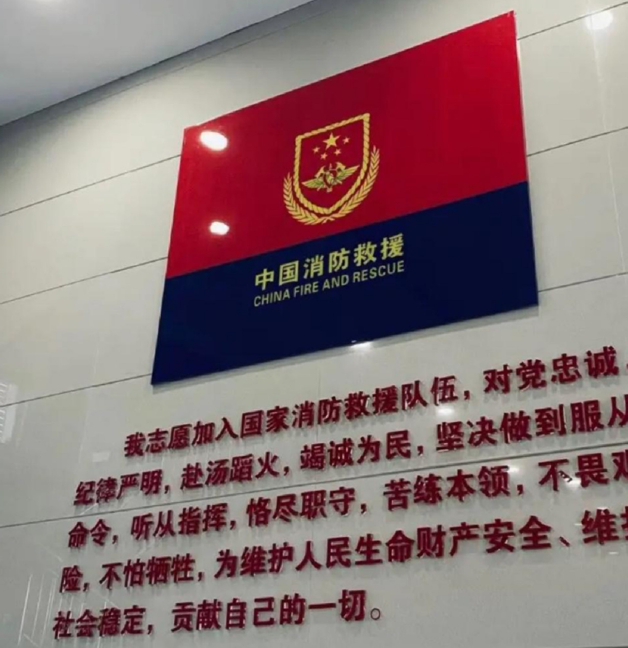 入队誓词 我志愿加入国家消防救援队伍,对党忠诚,纪律严明,赴汤蹈火