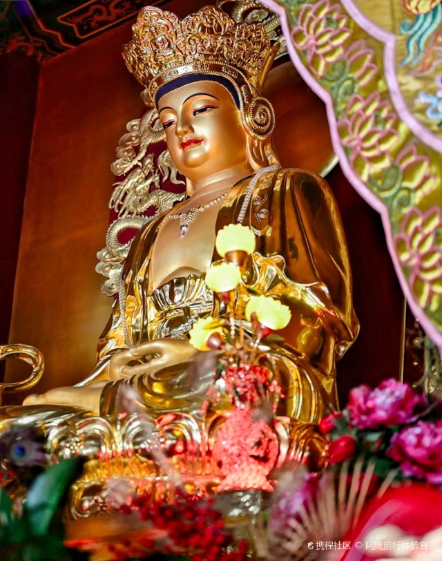 沈阳绝美赏荷地一华圣寺