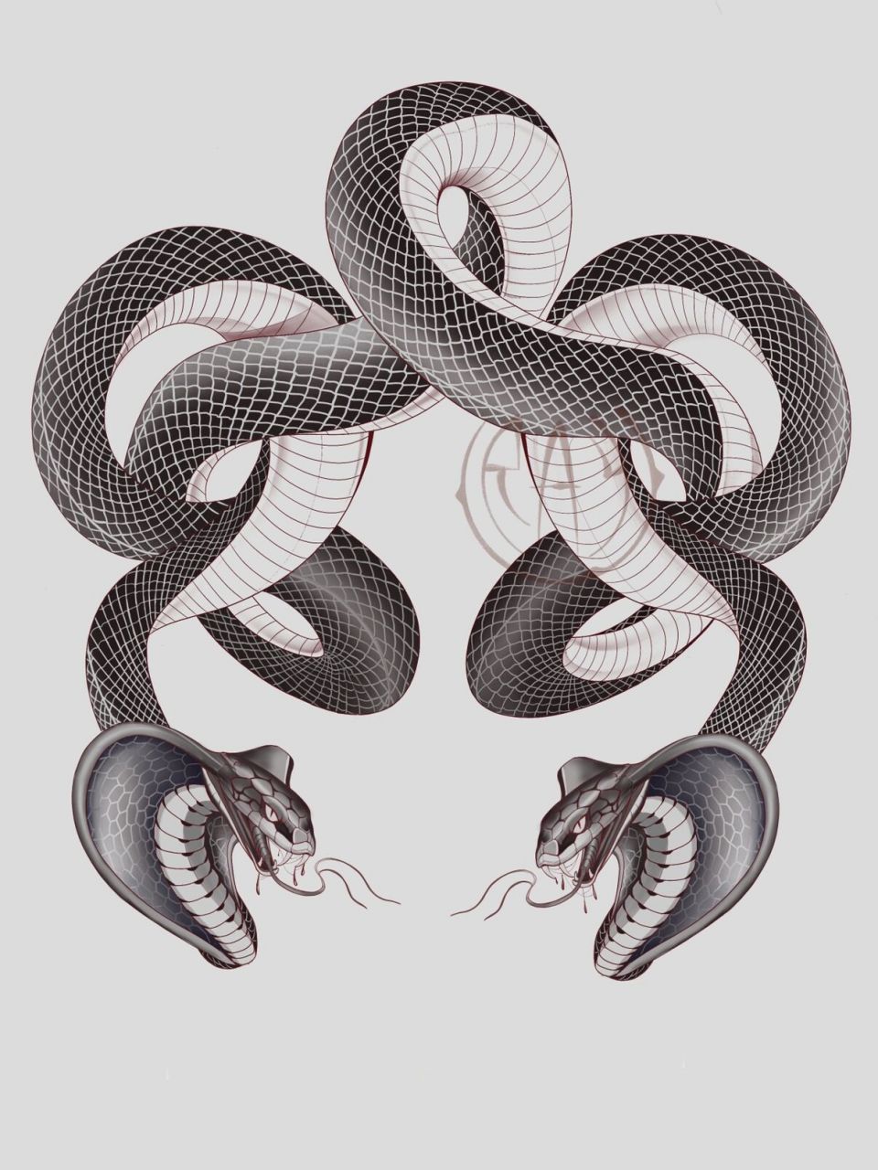 半背纹身 蛇纹身 客稿,双头蛇,共用一个身子