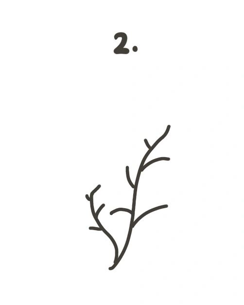 95手绘教程|如何画艾草