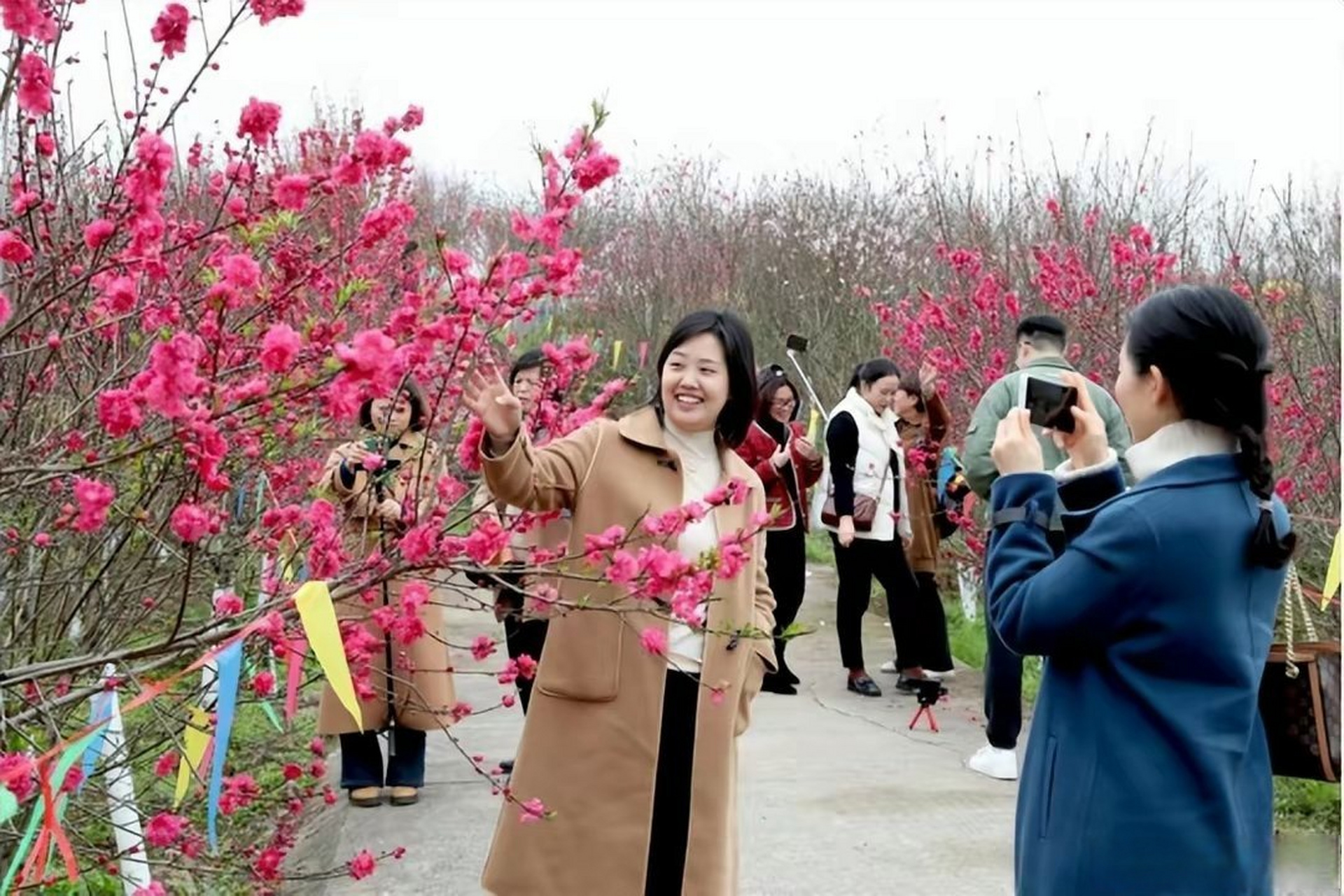 广安大地花谷门票图片