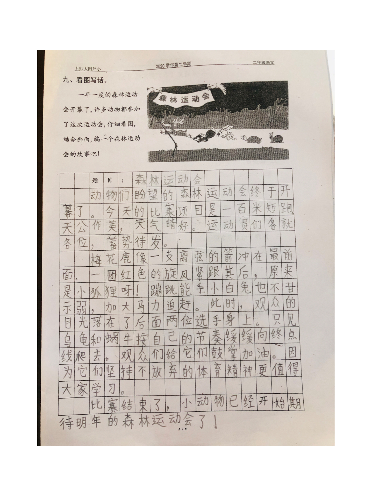 看图写话《森林运动会》