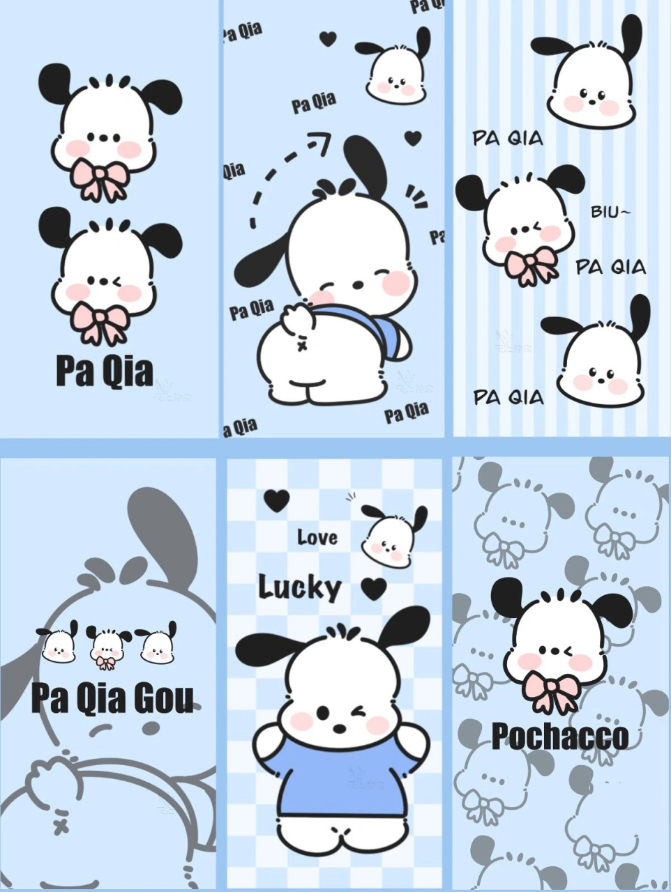 第87期/原创/帕恰狗壁纸 原创壁纸帕恰狗谁不想要可可爱爱的小狗狗