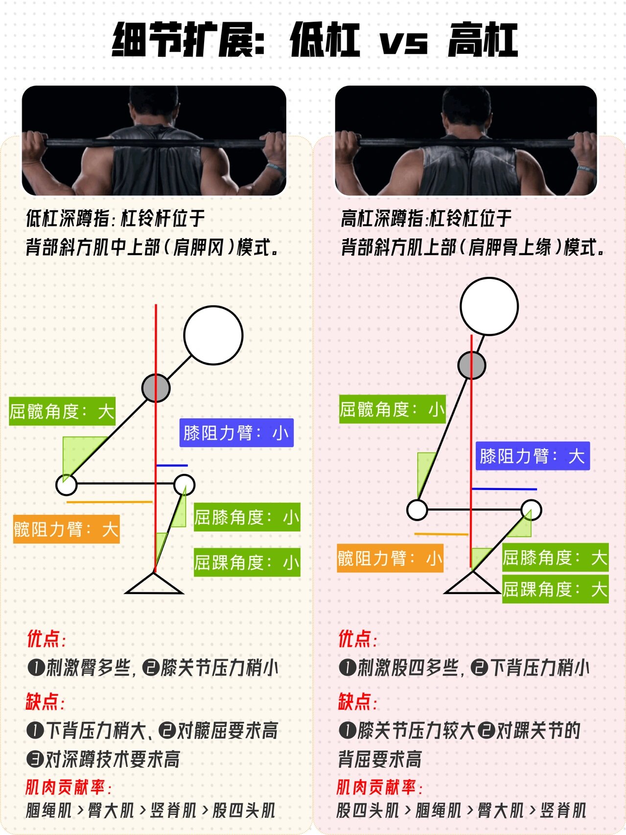 宽距深蹲标准动作图解图片