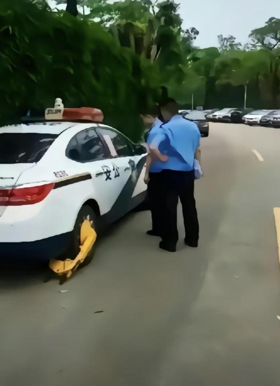 这是传说中的佛山无影锁吗?