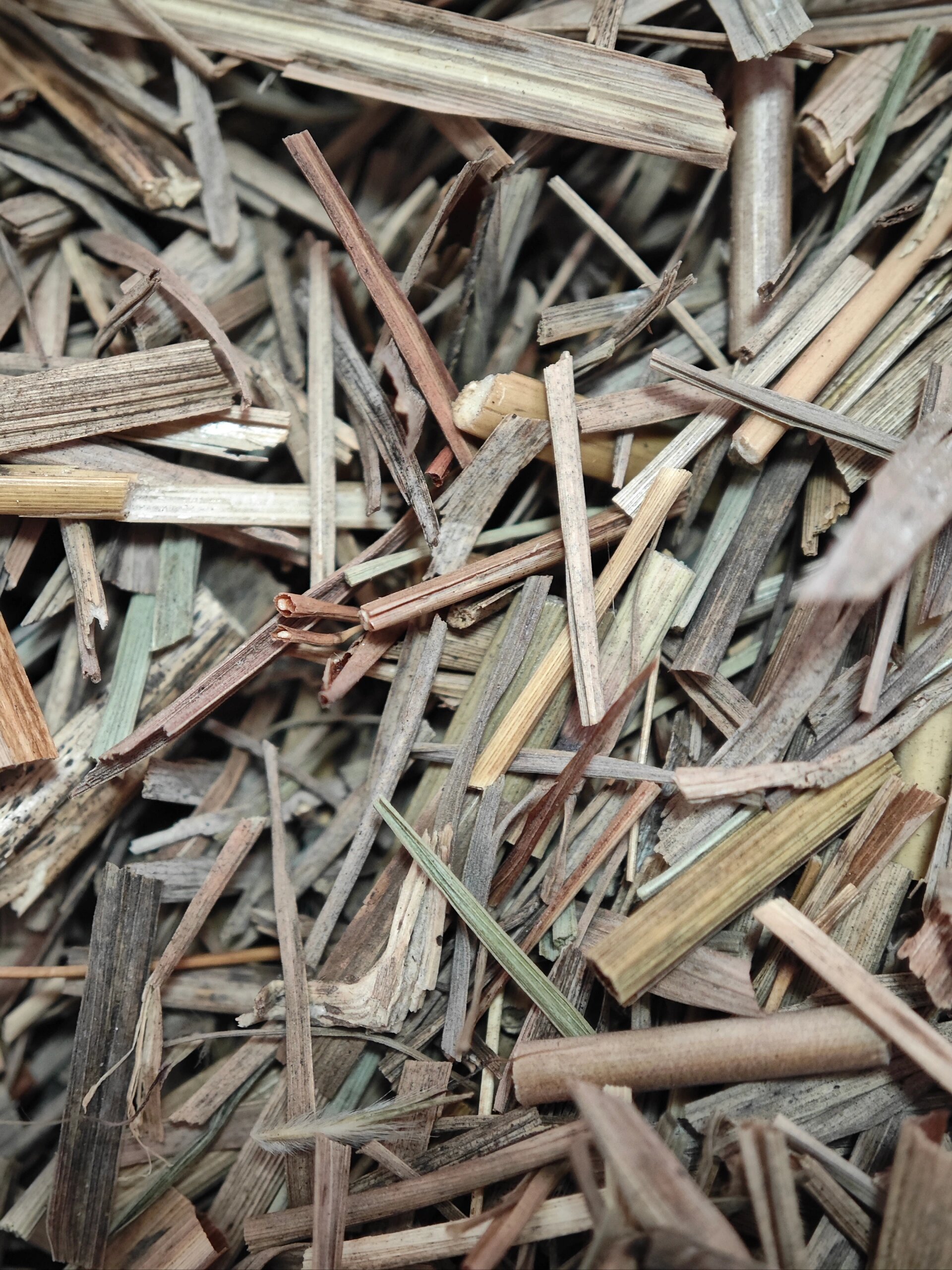 能香三十年的小香包,还超级防虫 自己做了些芸香草香包,放在书橱,衣柜