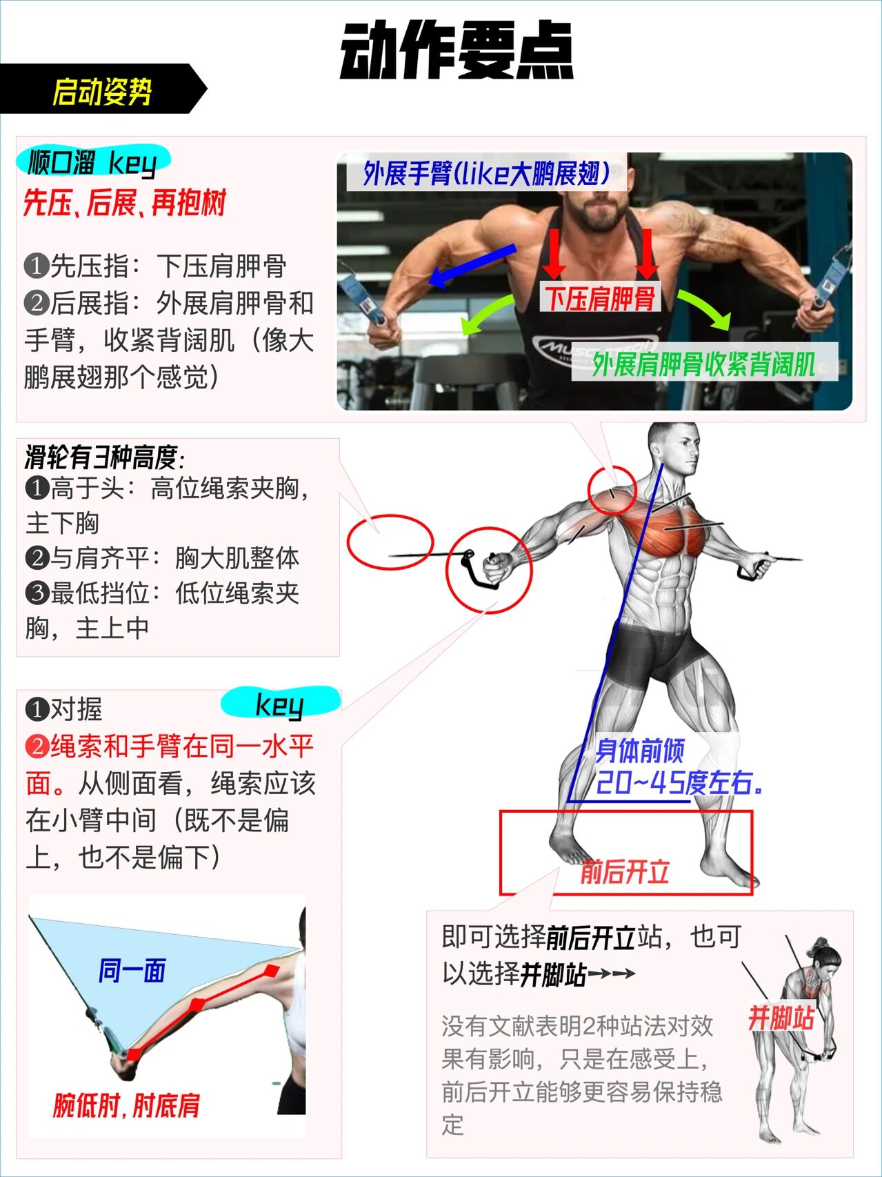 夹胸动作要领图片