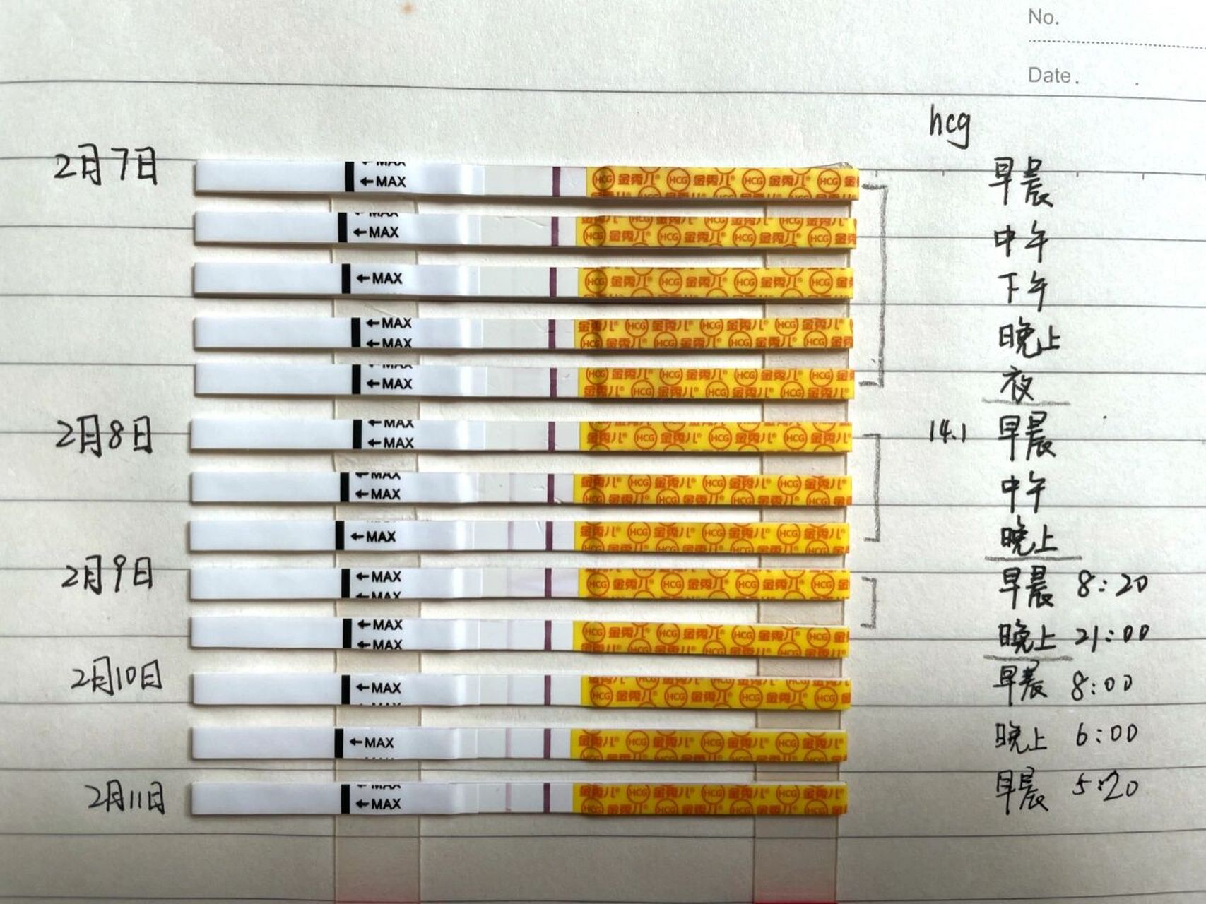 金秀儿早孕试纸对照表图片