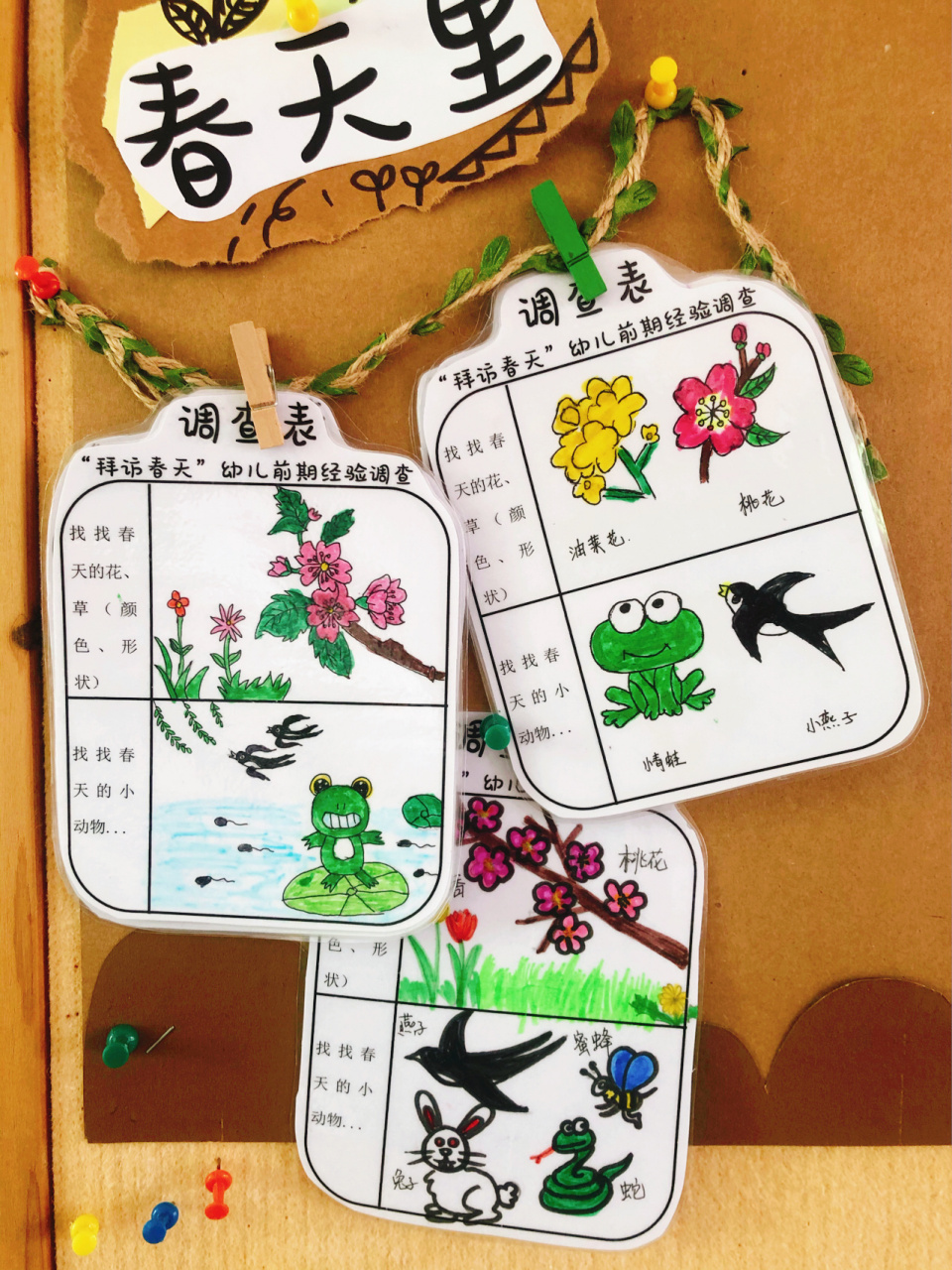 幼儿园主题调查表分享 中班下《拜访春天》 幼儿前期经验调查表