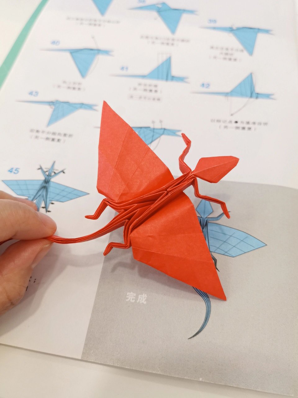 《超级折纸恐龙与古生物》11 孔耐蜥 后面附图纸,喜欢的自取.