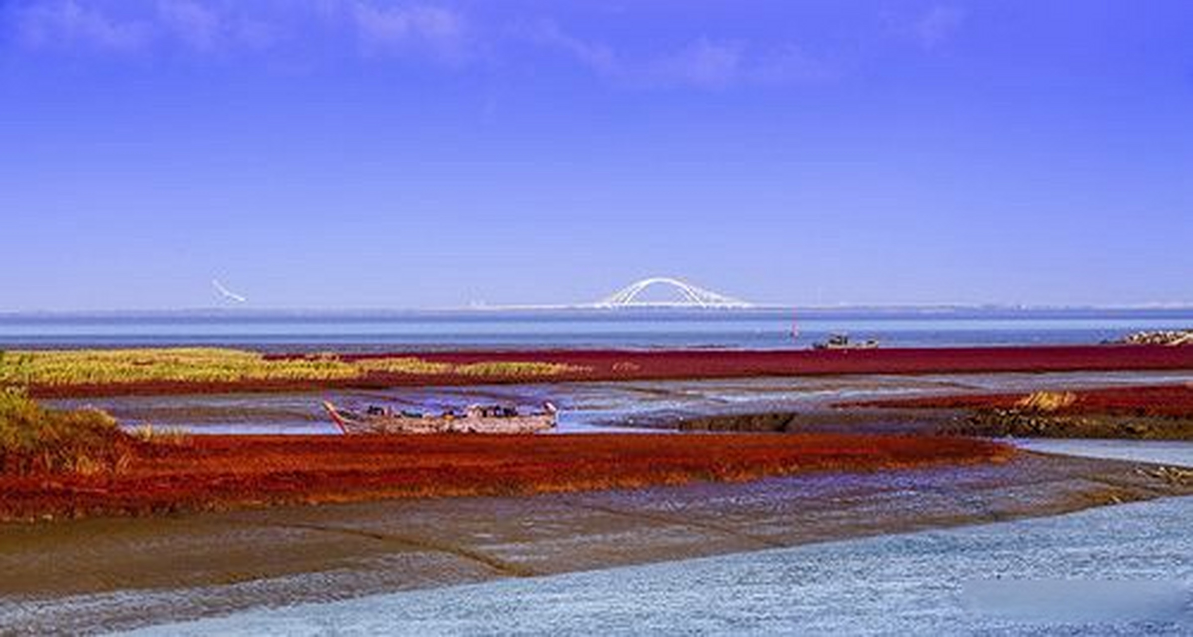 网红打卡地辽宁杠杠滴# 营口红海滩#文明营口从河而来