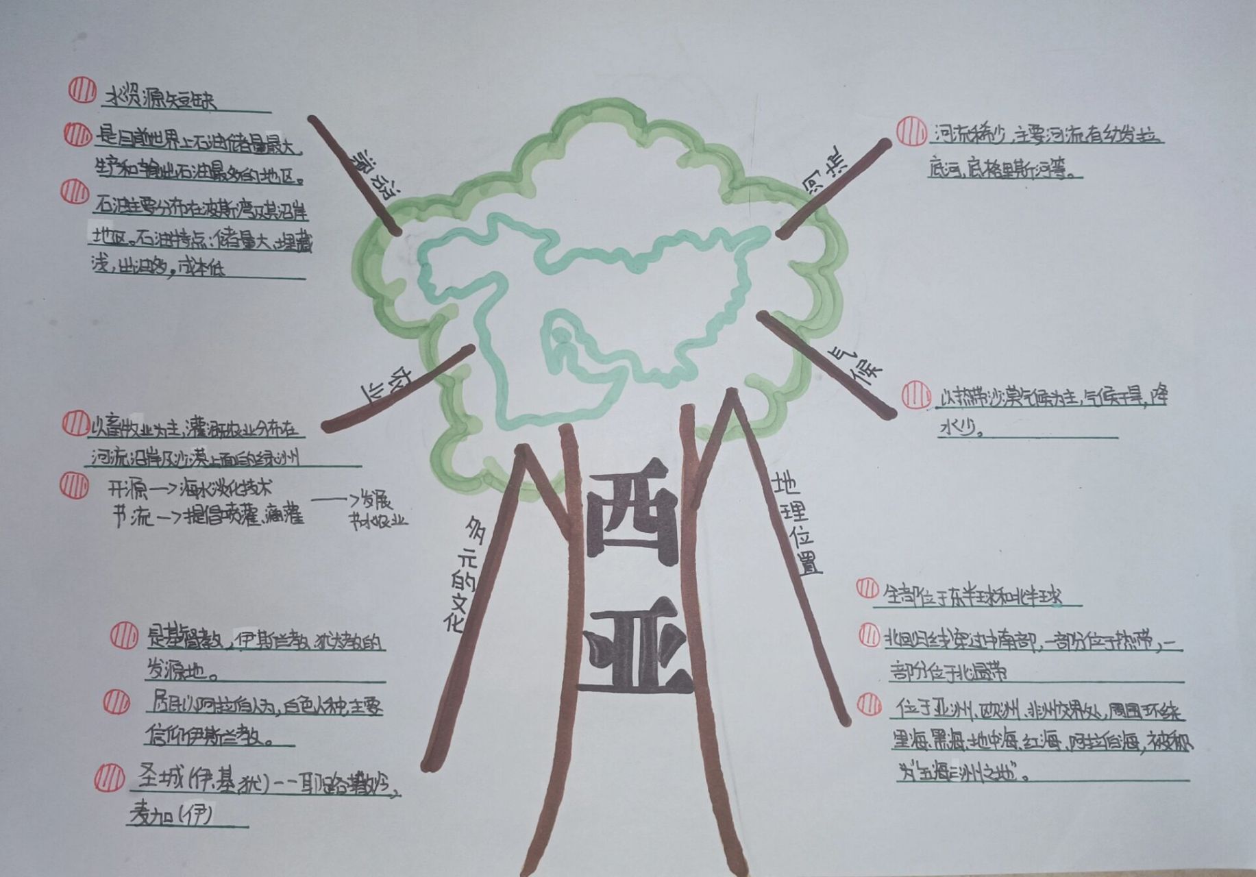 地理西亚的思维导图图片