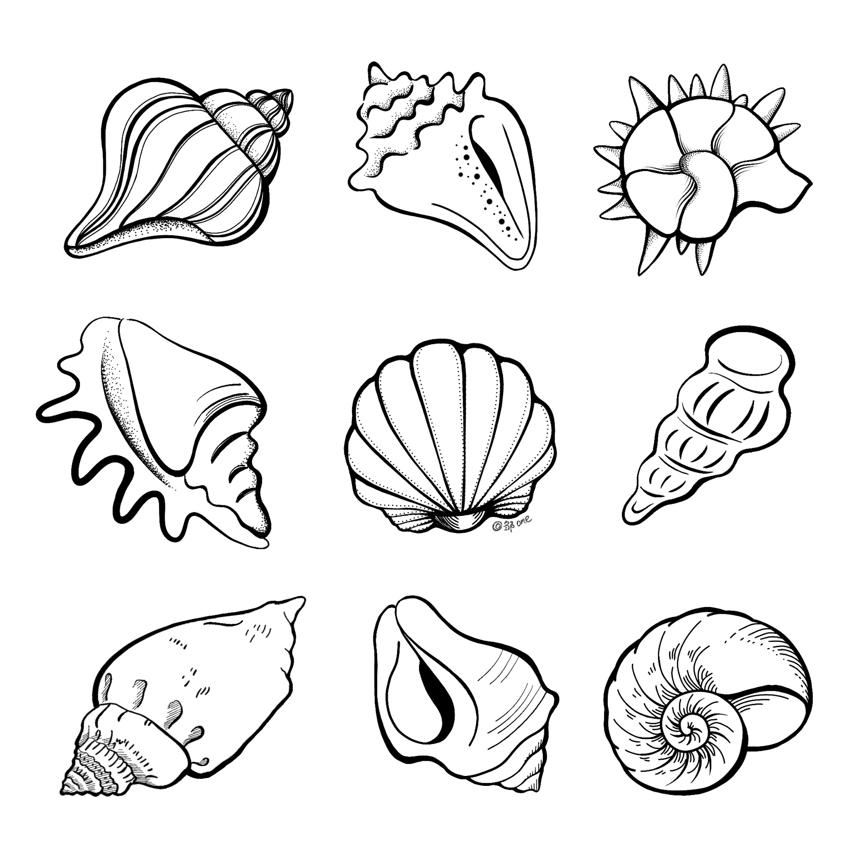 简笔画——海螺🐚