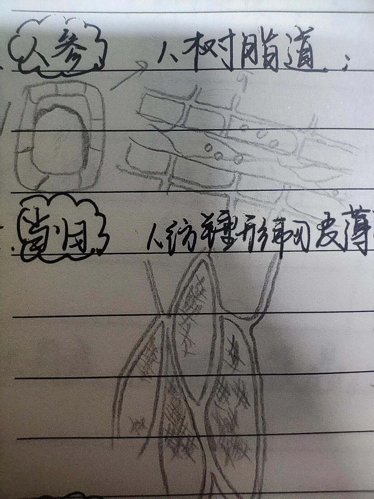 显微鉴定  大黄1.草酸钙簇晶 2.网纹导管3.淀粉粒 黄连1.石细胞2.