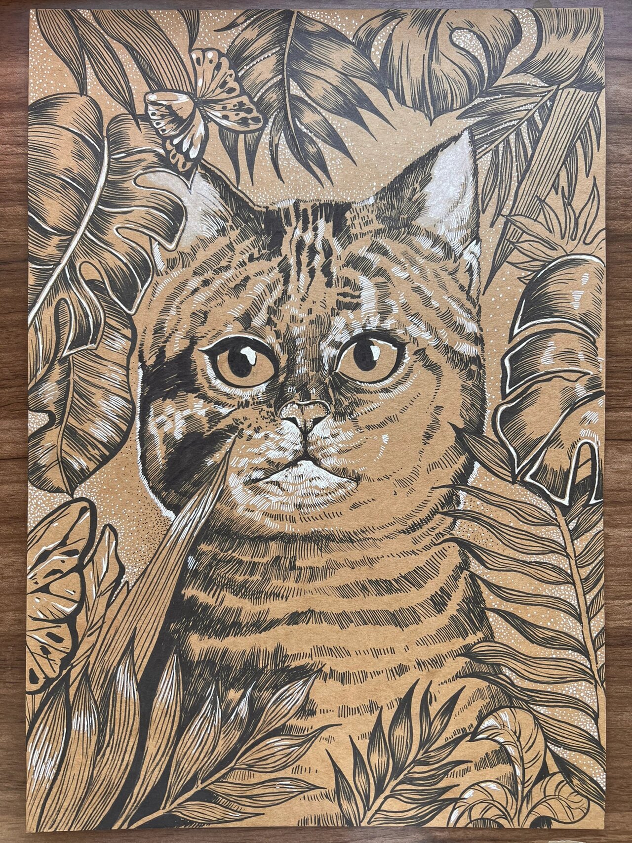 线描猫咪完整步骤图