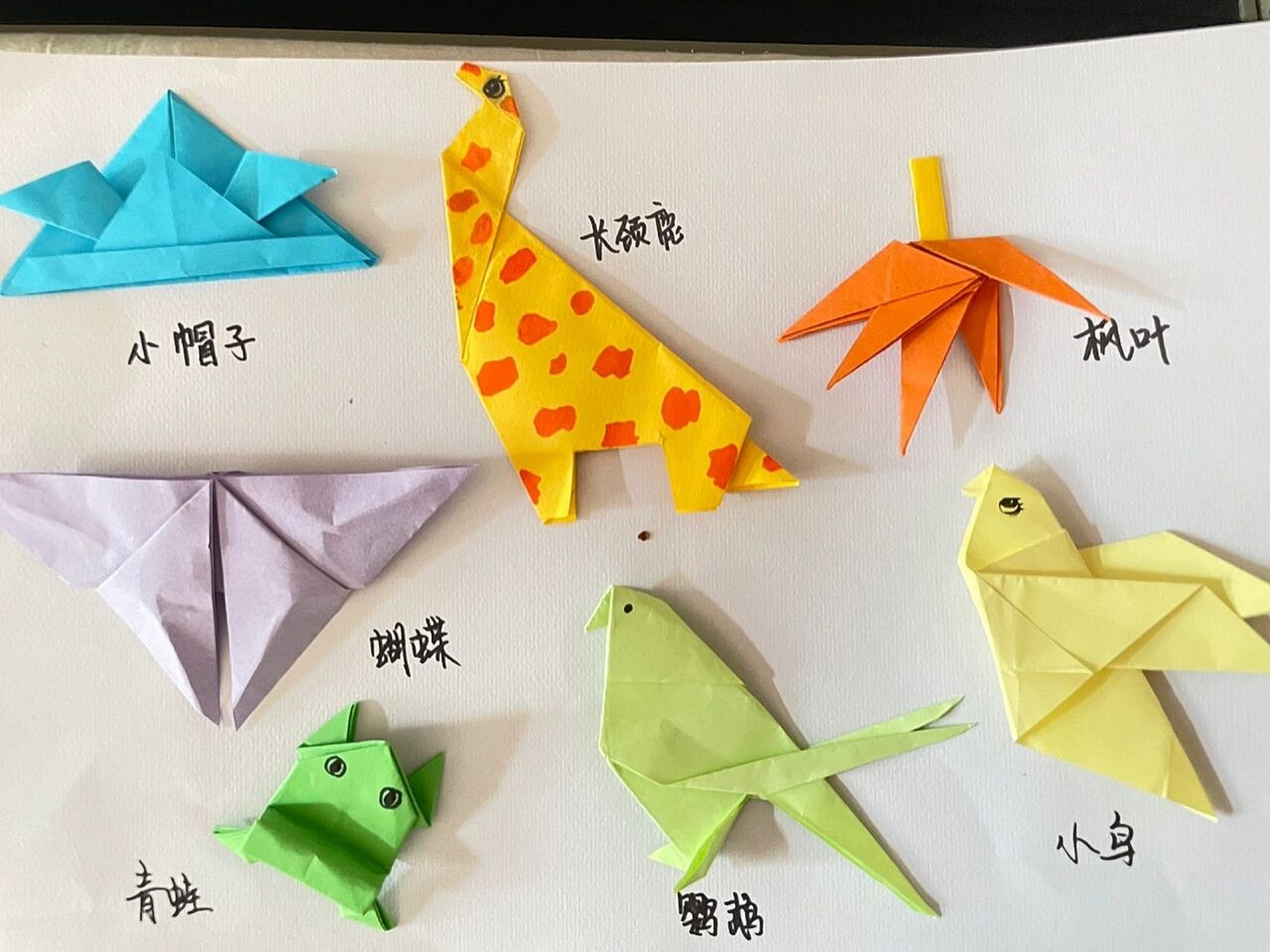 折纸 各种各样的 教程 /学前教育 最基础的,最简单的折纸合集啦