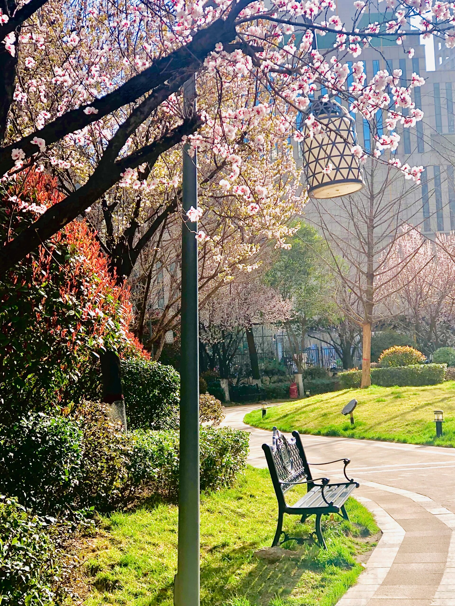 朋友送来的西安曲江龙邸春夏秋冬