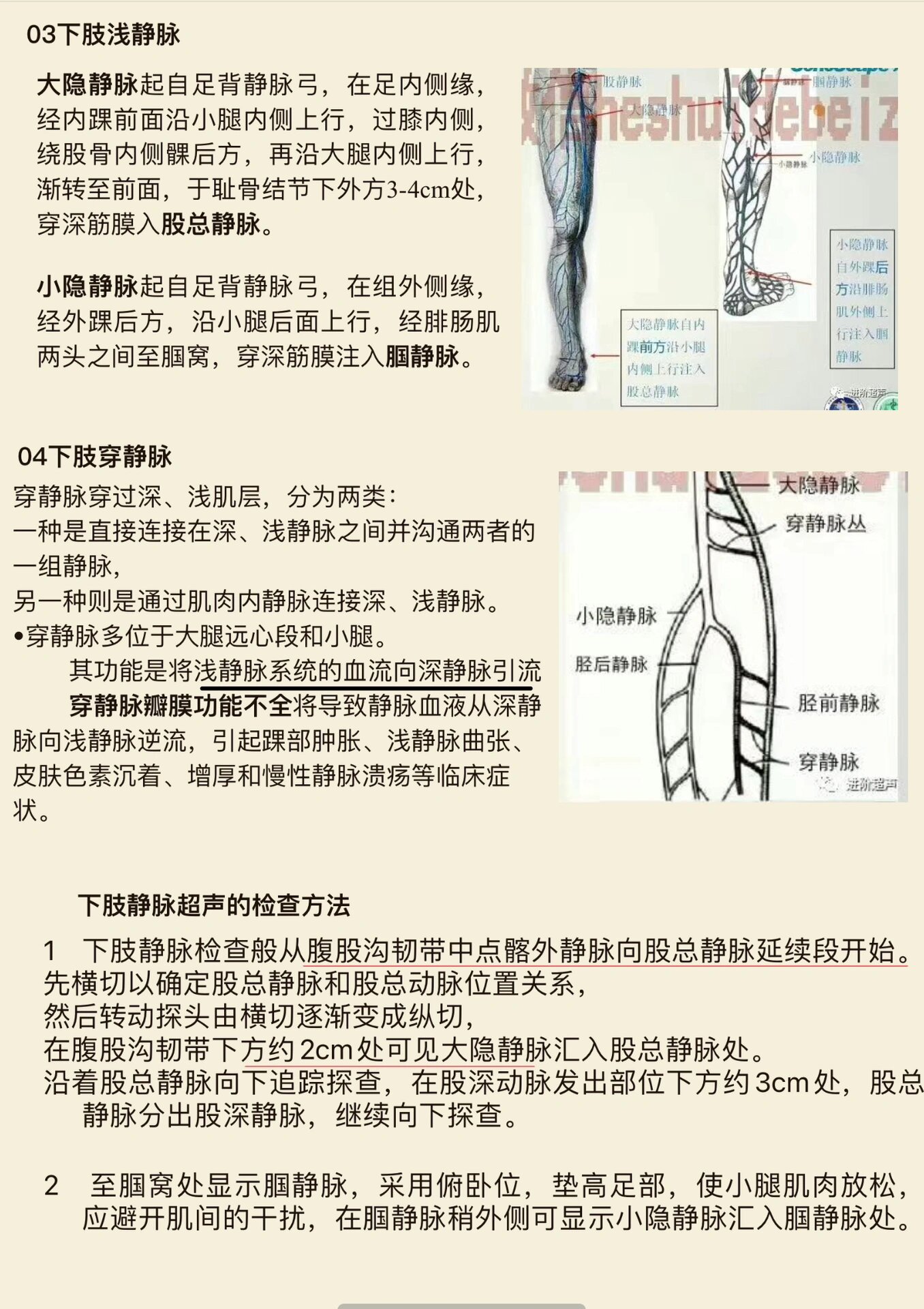 学习笔记-下肢静脉解剖及超声