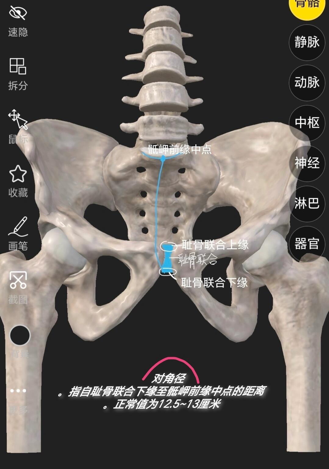 妇产科 骨盆测量