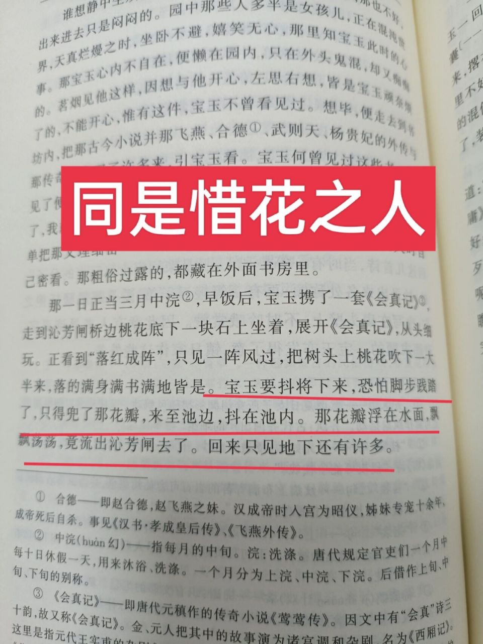 《红楼梦》第二十三回day102 黛玉葬花是整个小说中比较经典的场面了.