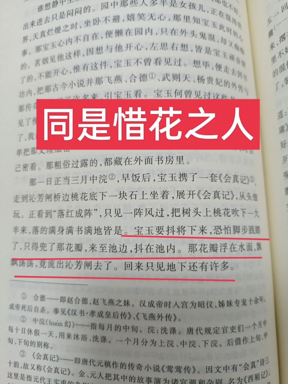 《红楼梦》第二十三回day102 黛玉葬花是整个小说中比较经典的场面了