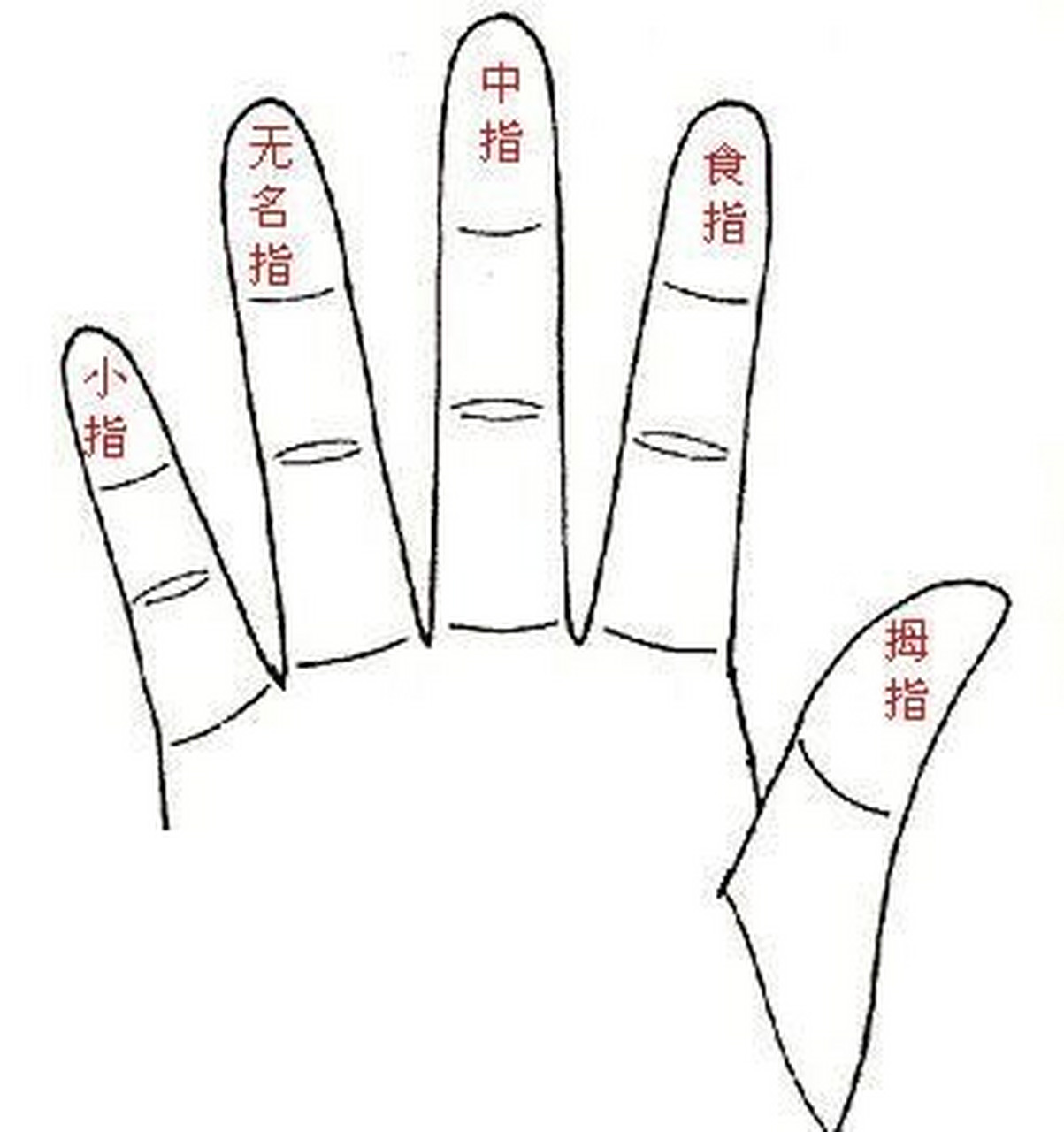 五个手指头代表的身份 大拇指:父母 食指:朋友,同事 中指:自己 无名指