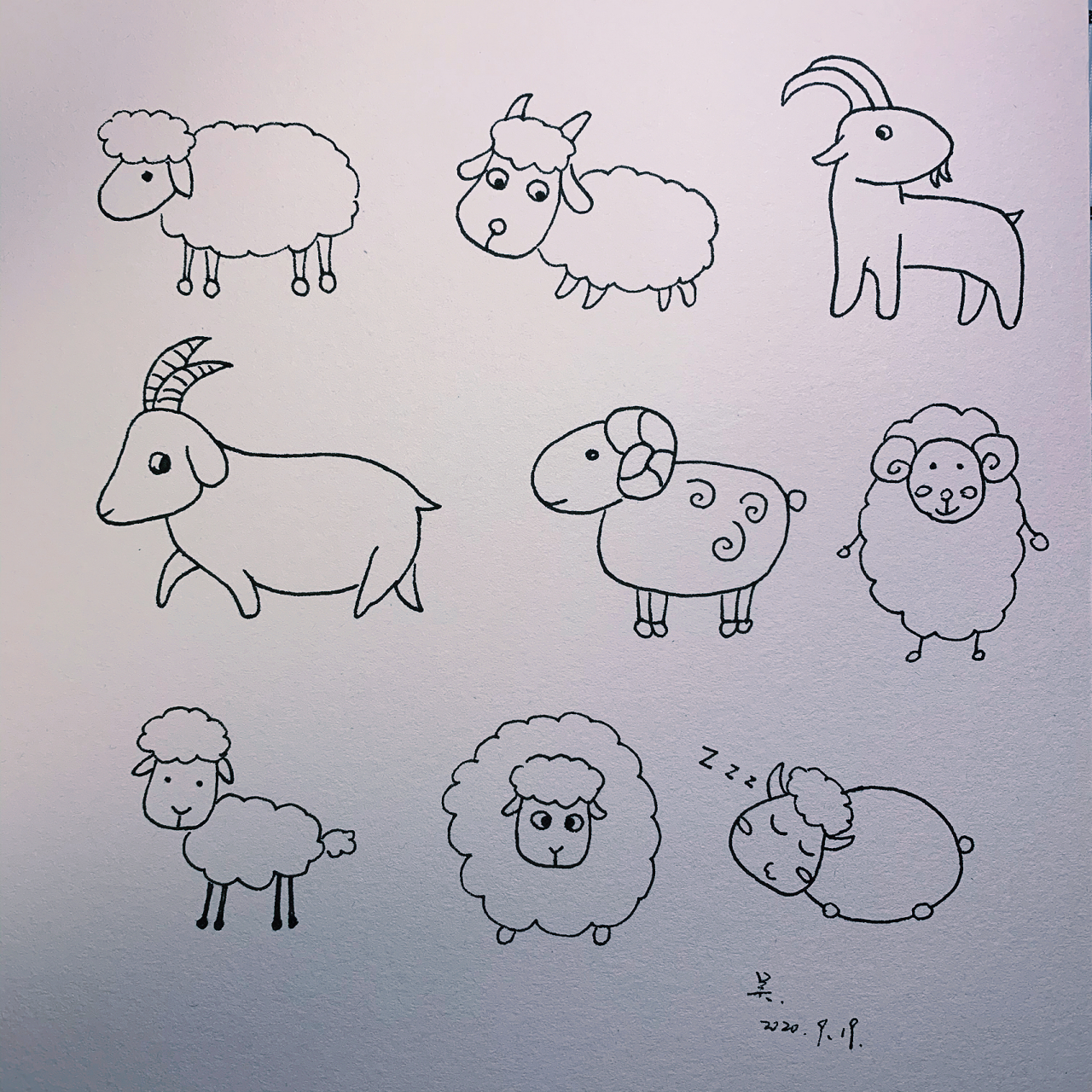 小羊简笔画979991 今天是小羊们的简笔画～ 简笔画
