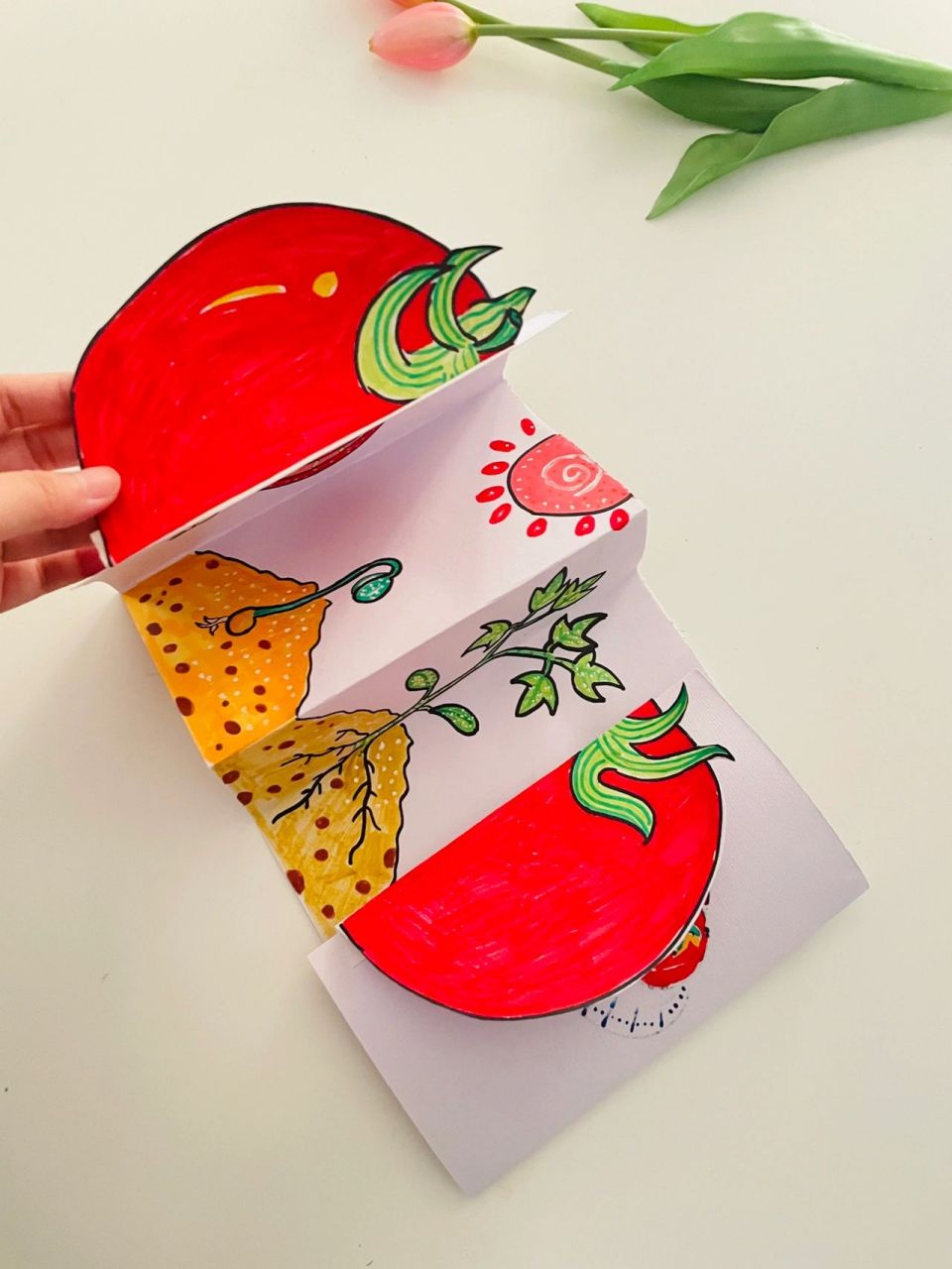 97西红柿生长绘本|6～7岁 创意美术 附步骤图 少