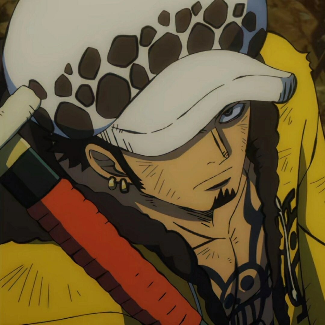 海贼王头像2(高清自截) 均出自剧场版《狂热行动》哦