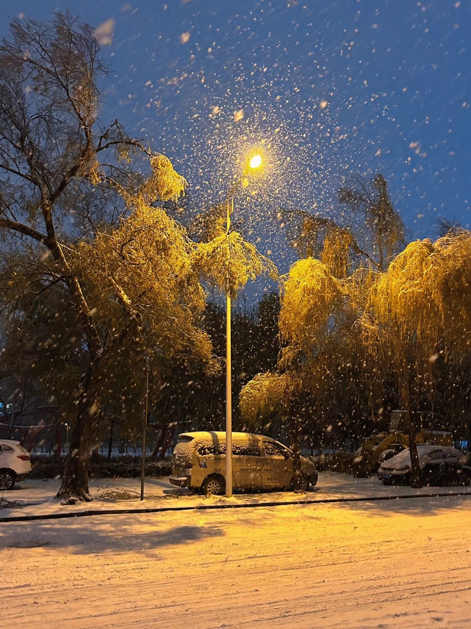 今日雪景图片图片