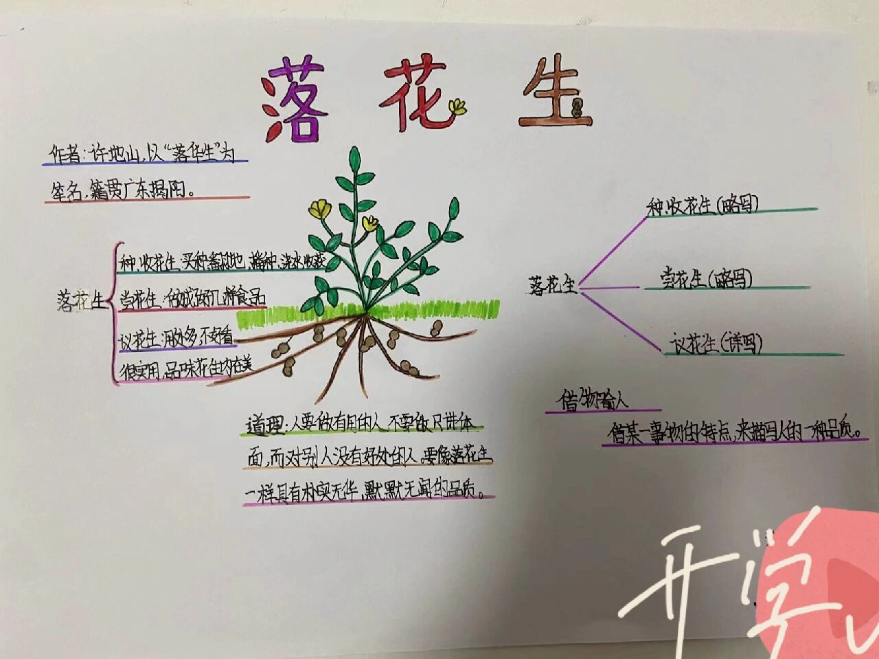 《落花生》思维导图