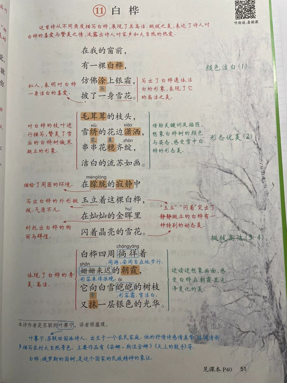 四年级下册11《白桦》课堂笔记 来源:涂重点 大概这人世间,偏是穷苦