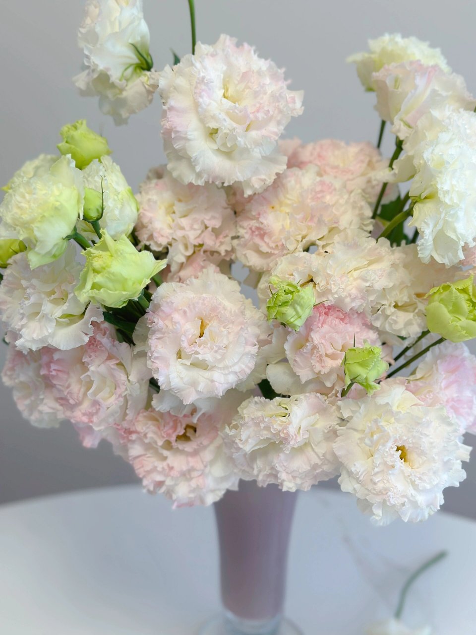 带你每天认识一种花材230/冰淇淋洋桔梗 波浪卷边 花头比普通洋桔梗大