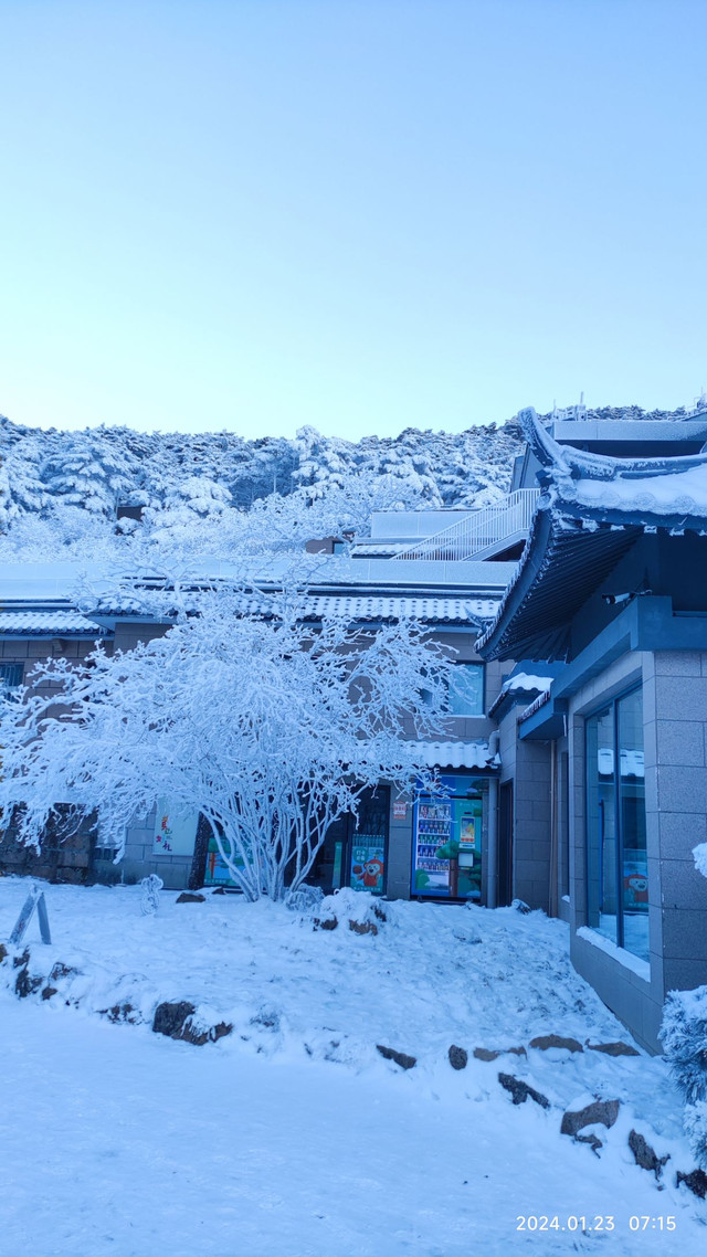 黄山排云型旅酒店图片